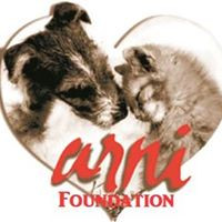 ARNI Foundation